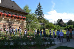 dsc-363.jpg