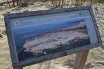 dsc-6555.jpg