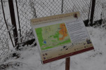 dsc-7080.jpg