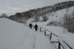 dsc-7160.jpg