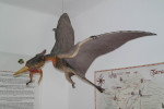 hateg-372.jpg